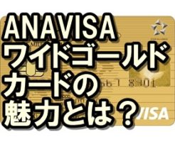 ANAVISAワイドゴールドカード
