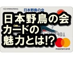日本野鳥の会カード